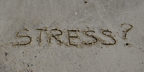 Stress en tinnitus