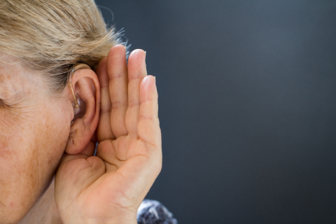 Tinnitus slechthorendheid gehoorbeschadiging